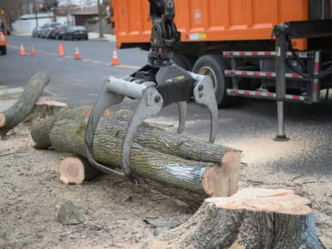 Storm damage cleanup